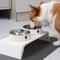 Elevated Double Stainless Steel Dog And Cat Feeding Bowls 0