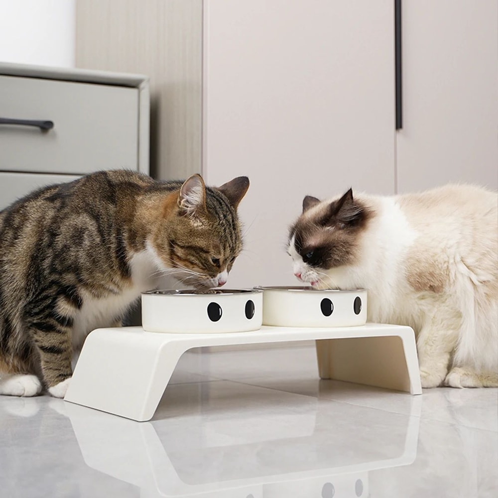 Elevated Double Stainless Steel Dog And Cat Feeding Bowls 2