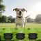 Rechargeable Anti Barking Training Collar For Dogs 2