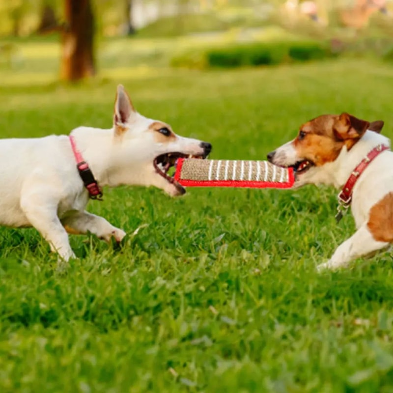 Durable Dog Bite Training Rod Toy For Chewing And Play 3