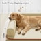 Waterproof All Season Dog Bed Mat For Medium And Large Dogs 9