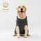 Cozy Knitted Winter Sweater For Dogs 1