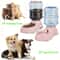 Automatic Gravity Pet Feeder And Water Dispenser Set 3