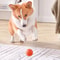 Automatic Moving Interactive Dog Toy Ball USB Rechargeable 4