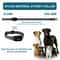 Waterproof Remote Control Dog Training Collar For Puppies And Dogs 1