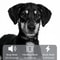 Waterproof Remote Control Dog Training Collar For Puppies And Dogs 3