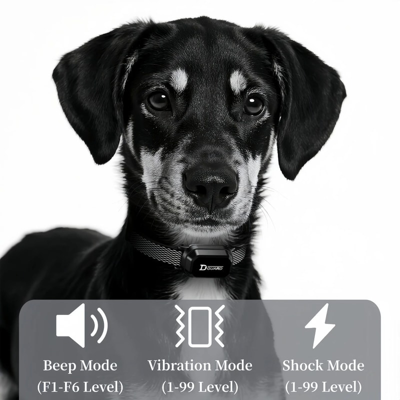 Waterproof Remote Control Dog Training Collar For Puppies And Dogs 3