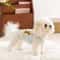 Breathable Warm Vest Clothes For Small Dogs And Cats 2