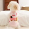 Breathable Warm Vest Clothes For Small Dogs And Cats 3