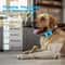 USB Rechargeable Anti Bark Dog Training Collar 1