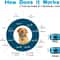 USB Rechargeable Anti Bark Dog Training Collar 2