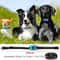 USB Rechargeable Anti Bark Dog Training Collar 3