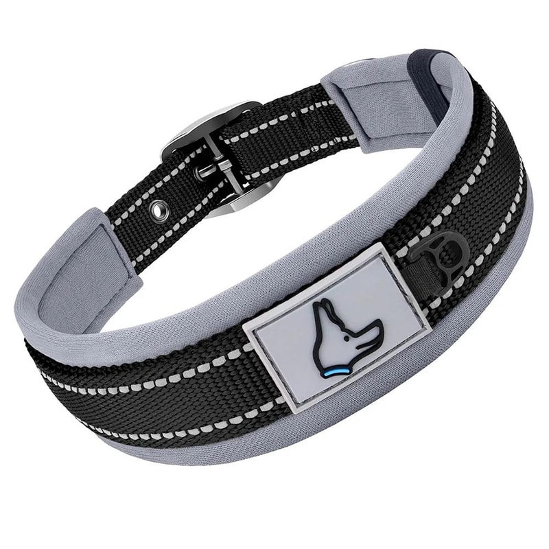 Reflective Padded Adjustable Dog Collar 11