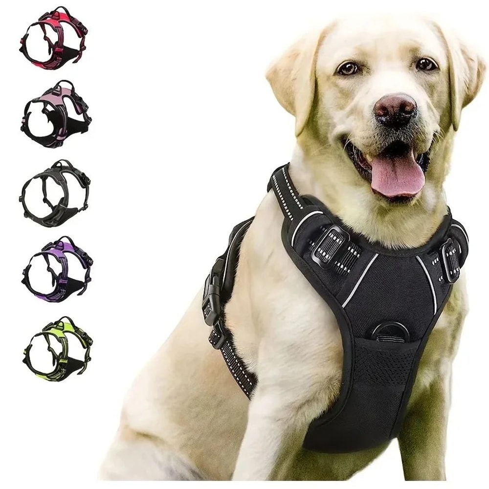 Leather Dog Harness Collar And Leash Set 0