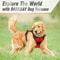 Leather Dog Harness Collar And Leash Set 2