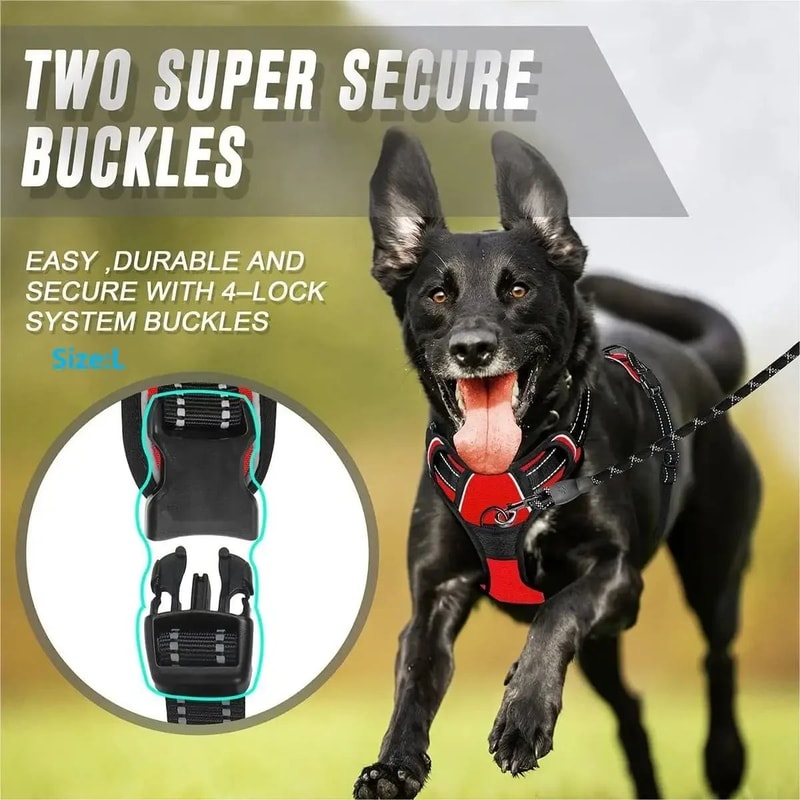 Leather Dog Harness Collar And Leash Set 4