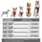 Leather Dog Harness Collar And Leash Set 5
