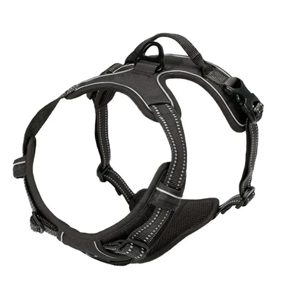 Leather Dog Harness Collar And Leash Set 6