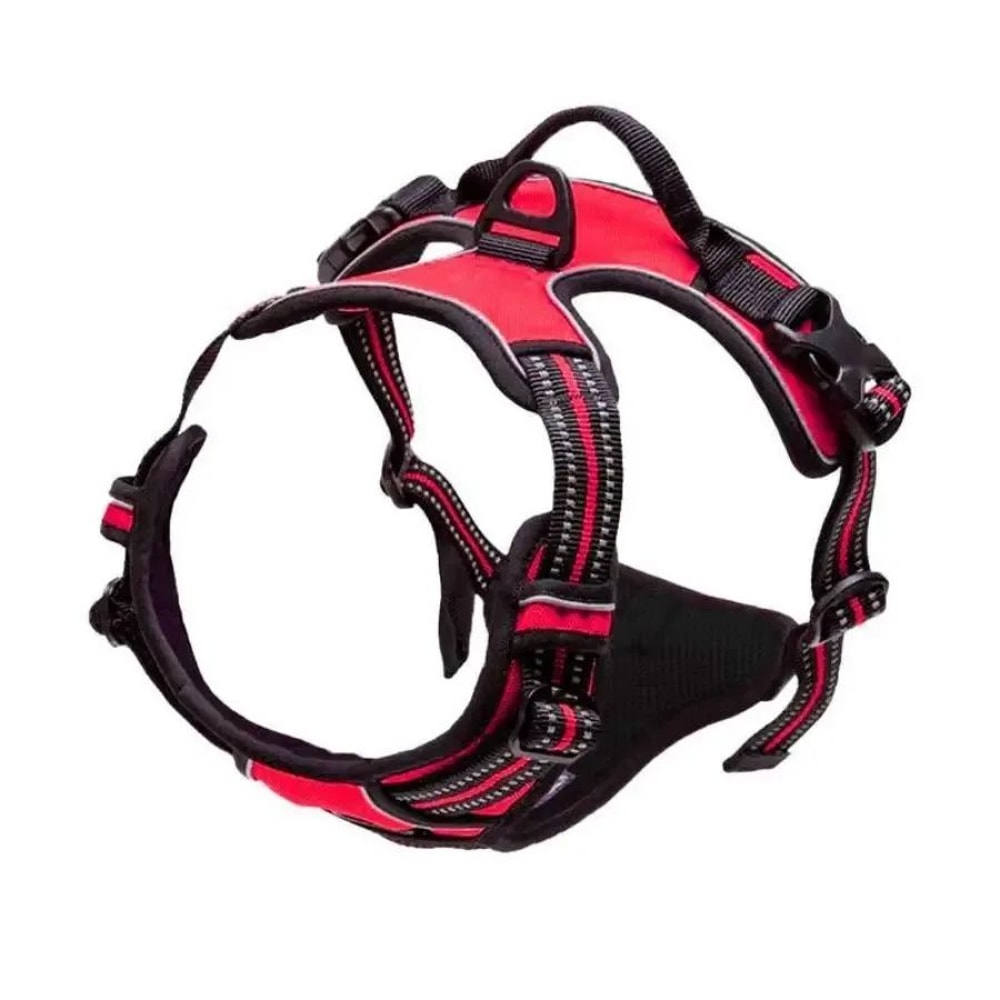 Leather Dog Harness Collar And Leash Set 8