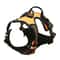 Leather Dog Harness Collar And Leash Set 10