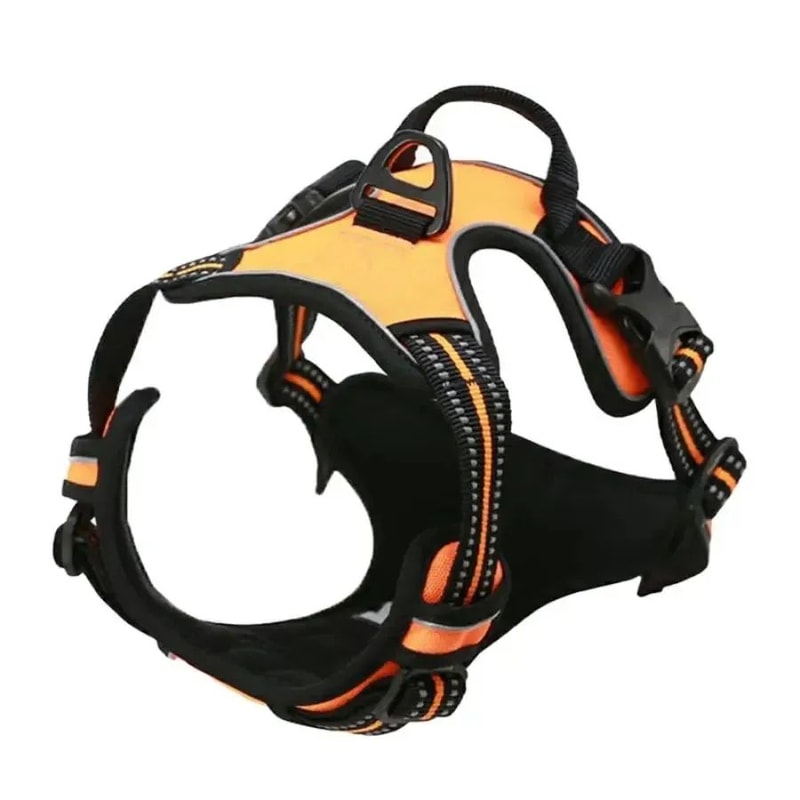 Leather Dog Harness Collar And Leash Set 10