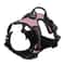 Leather Dog Harness Collar And Leash Set 11
