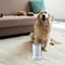 USB Rechargeable Portable Dog Paw Washer 6