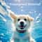 800M Waterproof Rechargeable Dog Training Collar 5