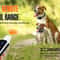800M Waterproof Rechargeable Dog Training Collar 8