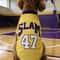 Breathable Mesh Basketball Dog Jersey Shirt 2