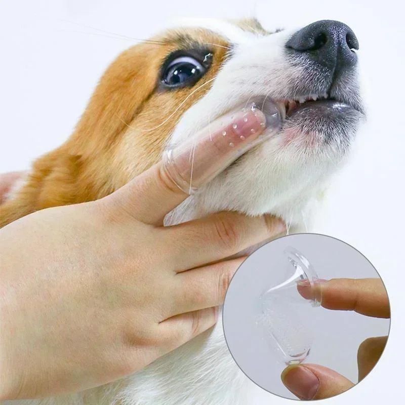 5 Piece Soft Pet Finger Toothbrush Set 3