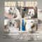 Anti Flea Moisturizing Dog Shampoo 1