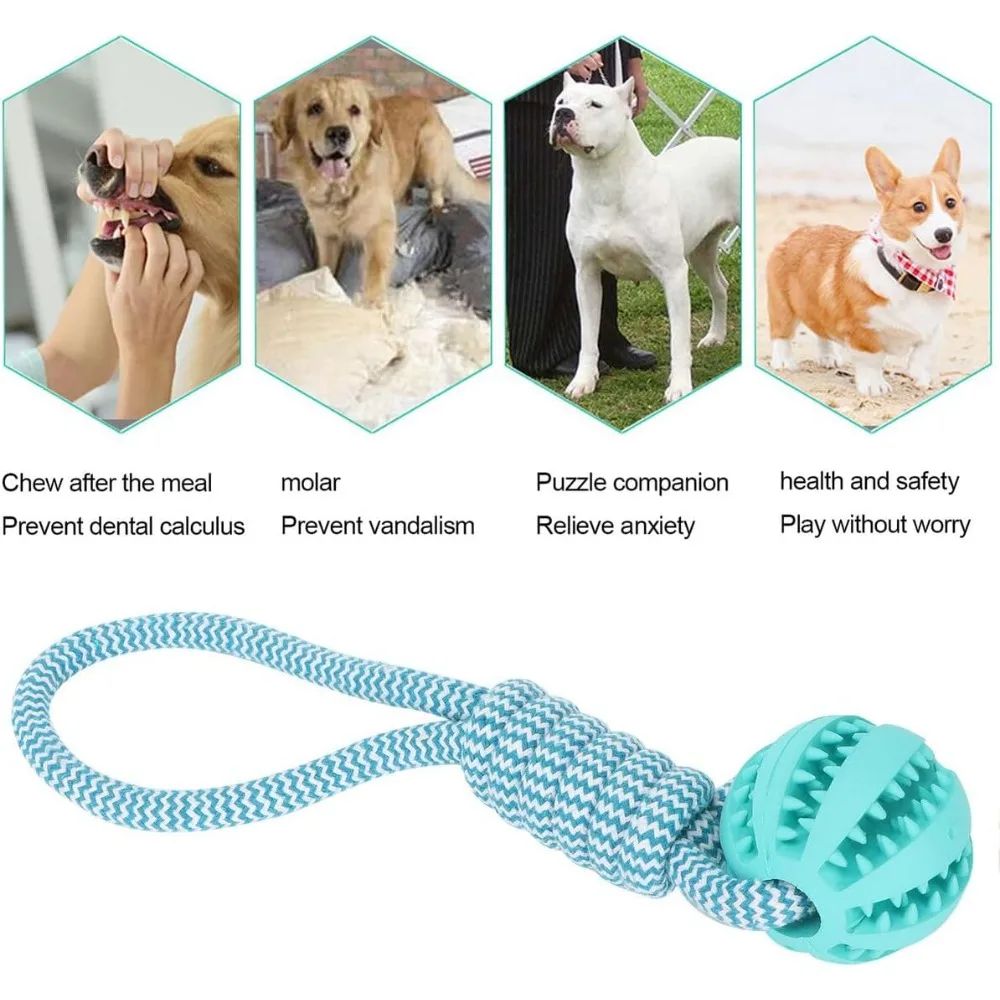 Rubber Hollow Ball Dog Chew Toy 4
