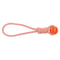 Rubber Hollow Ball Dog Chew Toy 6