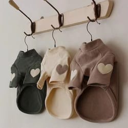 winter love bear pet hoodie for dogs and cats