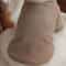 Winter Love Bear Pet Hoodie For Dogs And Cats 1