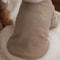 Winter Love Bear Pet Hoodie For Dogs And Cats 1