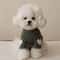 Winter Love Bear Pet Hoodie For Dogs And Cats 5