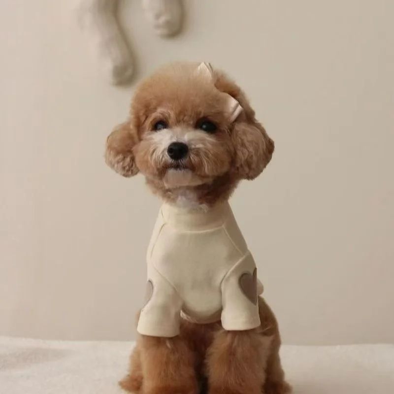 Winter Love Bear Pet Hoodie For Dogs And Cats 6