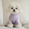 Winter Love Bear Pet Hoodie For Dogs And Cats 9