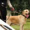 Heavy Duty Reflective Bungee Dog Leash With Seatbelt 7