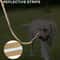 Heavy Duty Reflective Bungee Dog Leash With Seatbelt 8