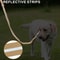 Heavy Duty Reflective Bungee Dog Leash With Seatbelt 8