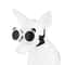 Waterproof Dog Goggles For Outdoor Travel 11