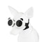 Waterproof Dog Goggles For Outdoor Travel 11