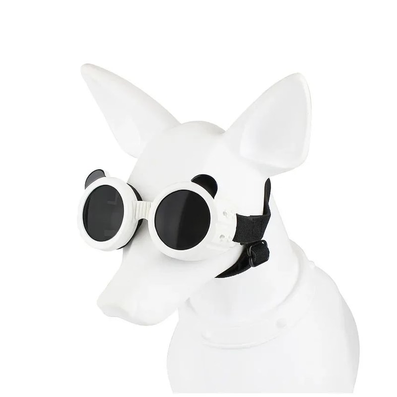 Waterproof Dog Goggles For Outdoor Travel 11