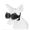 Waterproof Dog Goggles For Outdoor Travel 12