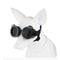 Waterproof Dog Goggles For Outdoor Travel 12