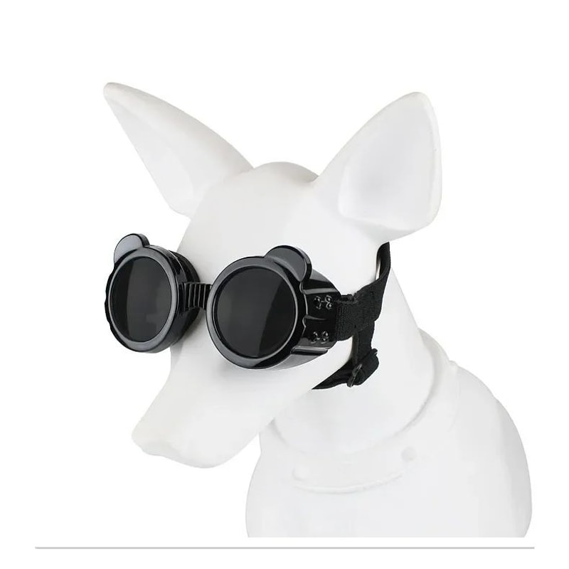 Waterproof Dog Goggles For Outdoor Travel 12