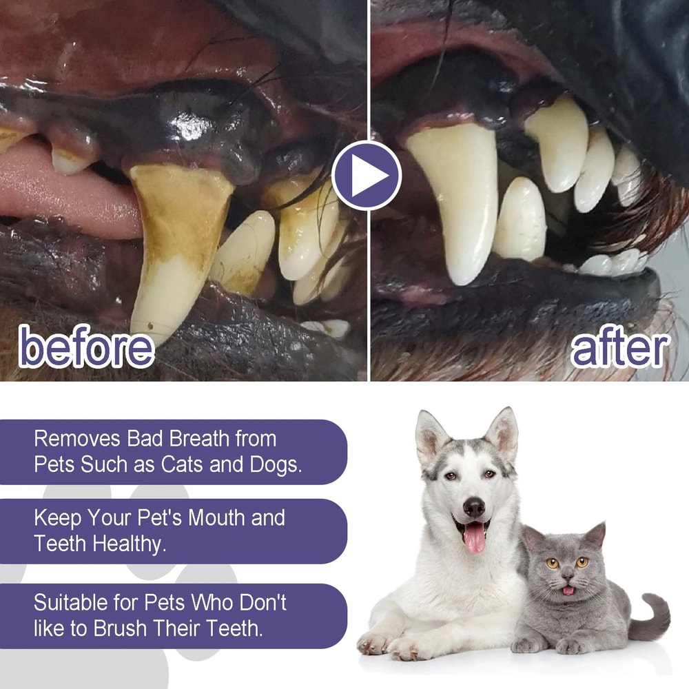 Pet Dental Care Gel Pen For Dogs And Cats 4